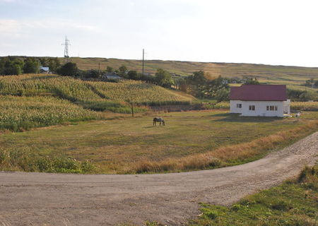 Teren intravilan la 6 km de Botosani