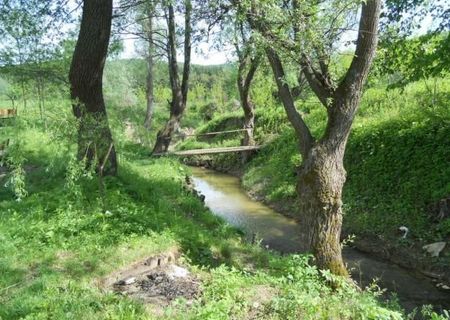 Teren Luncani Bacau