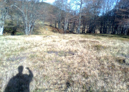 TEREN PT. CONSTRUCTII CABANE / PENSIUNI IN STATIUNEA MONTANA SEMENIC