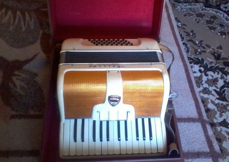 Vand acordeon timis