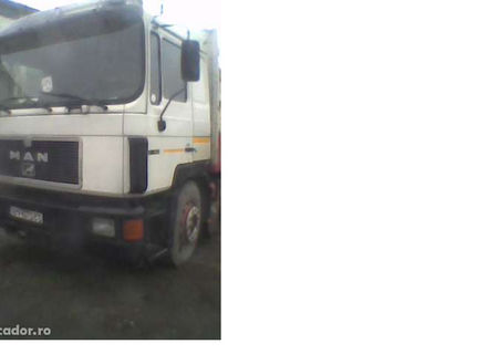 vand camion Man transport lemn