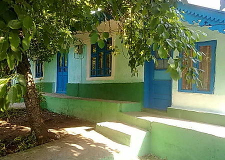 vand casa batraneasca locuibila in comuna Nicoresti,sat Sarbi