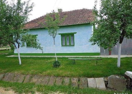 Vand casa in Fantanele Arad