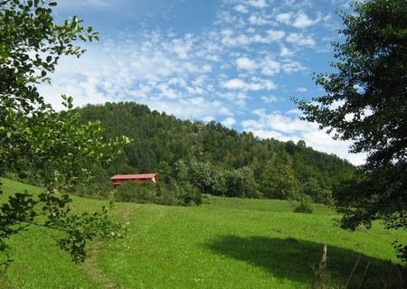 Vand casa si teren la munte