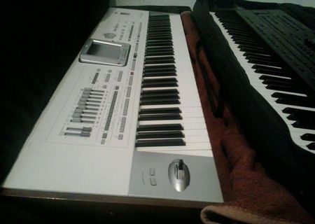 vand orga korg PA2