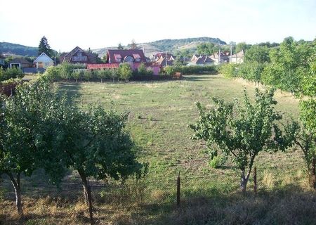 vand teren intravilan in reghin