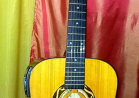 Vind Chitara Electroacustica 12 corzi Celtic Star, Noua