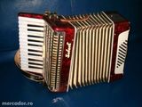 Acordeon Timis