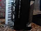 acordeon weltmeister