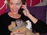 adorabil maimuțe capucin mai tineri pentru rehomind (saracinovaness@gmail.com)