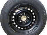 Anvelope iarna Sportiva 195/65 R15