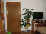 Apartament, 2 camere, modern