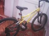 Bicicleta Cross