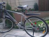 Bicicleta SILVER STAR  frane disc FATA SPATE