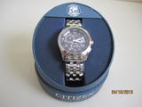 Citizen Eco Drive Perpetua Calendar