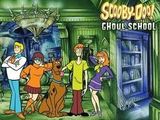 Colectia completa Scooby Doo