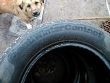 Continental ContiWinterContact 205/65 R15