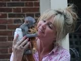 Două adorabile mici masculi și femei de maimuțe capucin copil pentru adoptare  roselinepuppies@gmail.com