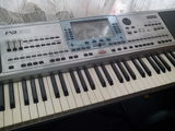 Korg PA 50 (Alexandria)