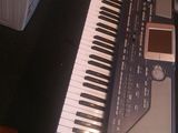 Orga Korg Pa 800 de vanzare