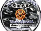 Pasta''EXTRA''cu Shungit -<Diamantul Sanatatii>