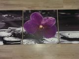 Tablou canvas - Orchid in Black