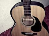 Takamine G220