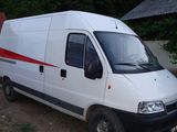 transport marfa cu duba fiat 3,5 t plus platforma