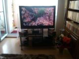 Tv plasma Samsung