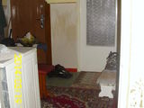 Vand apartament 2 camere