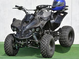 Vand Atv 125 cc Renegade nou cu garantie