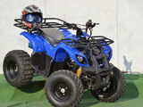 Vand Atv Grizzly nou cu garantie