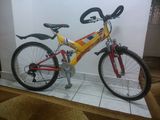 Vand bicicleta First Bike Alpin 420