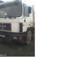 vand camion Man transport lemn