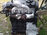 vand dezmembrez motor 1.9tdi,131cp,tip awx