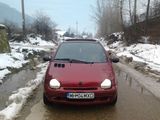 Vand Renaut Twingo 1.2 1996