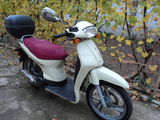 VAND SCOOTER HONDA SH